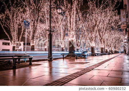 SENDAI Hikari Pageant 2019 Sendai City, Miyagi Prefecture 60980232