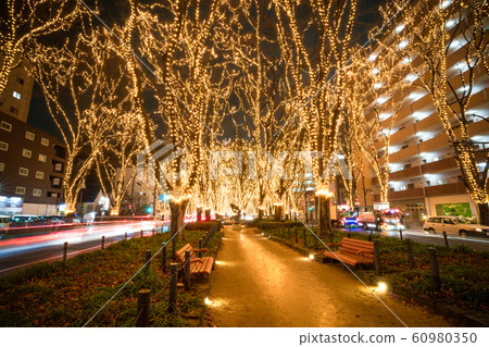 SENDAI Hikari Pageant 2019 Sendai City, Miyagi Prefecture 60980350