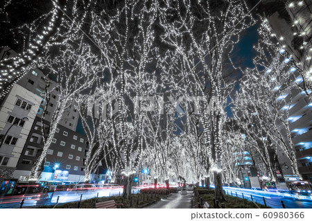 SENDAI Hikari Pageant 2019 Sendai City, Miyagi Prefecture 60980366