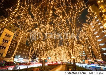 SENDAI Hikari Pageant 2019 Sendai City, Miyagi Prefecture SENDAI Hikari Pageant 2019 Sendai City, Miyagi Prefecture 60980367