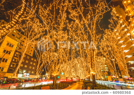 SENDAI Hikari Pageant 2019 Sendai City, Miyagi Prefecture 60980368