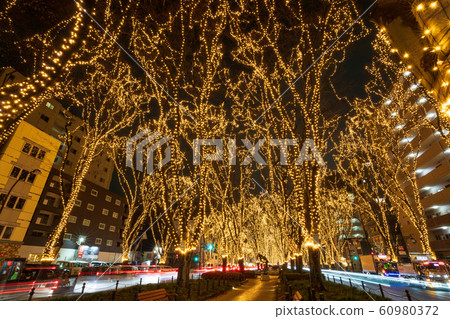 SENDAI Hikari Pageant 2019 Sendai City, Miyagi Prefecture 60980372