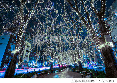 SENDAI Hikari Pageant 2019 Sendai City, Miyagi Prefecture 60980403