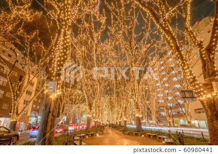 SENDAI Hikari Pageant 2019 Sendai City, Miyagi Prefecture SENDAI Hikari Pageant 2019 Sendai City, Miyagi Prefecture 60980441
