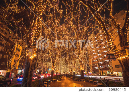 SENDAI Hikari Pageant 2019 Sendai City, Miyagi Prefecture 60980445