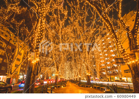 SENDAI Hikari Pageant 2019 Sendai City, Miyagi Prefecture 60980449