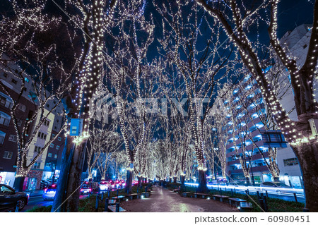 SENDAI Hikari Pageant 2019 Sendai City, Miyagi Prefecture SENDAI Hikari Pageant 2019 Sendai City, Miyagi Prefecture 60980451