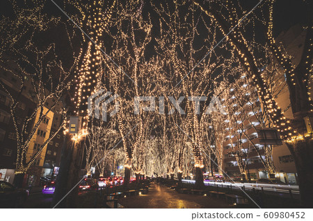 SENDAI Hikari Pageant 2019 Sendai City, Miyagi Prefecture 60980452