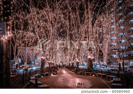 SENDAI Hikari Pageant 2019 Sendai City, Miyagi Prefecture 60980460