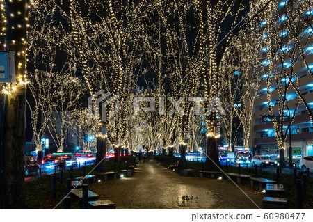 SENDAI Hikari Pageant 2019 Sendai City, Miyagi Prefecture 60980477