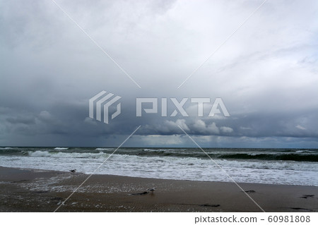 Coast of the Baltic Sea, Mecklenburg-Vorpommern, 60981808