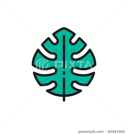 Tropical palm leaf, monstera leaf plant flat color line icon. 60981860