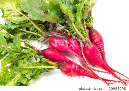 Maple stick 60981998