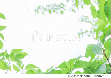 Fresh green eco image Fresh green eco image 60982525