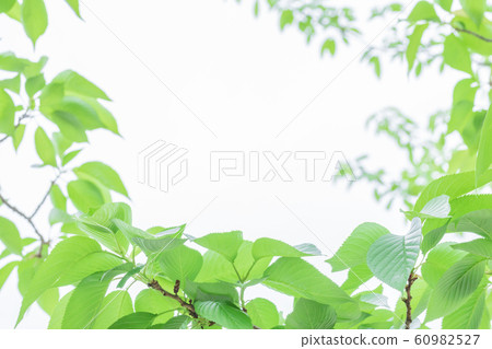  Fresh green eco image 60982527