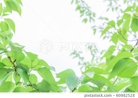 Fresh green eco image 60982528