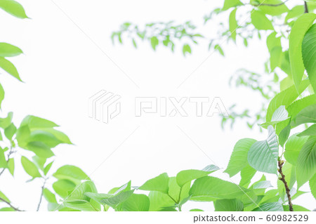  Fresh green eco image 60982529