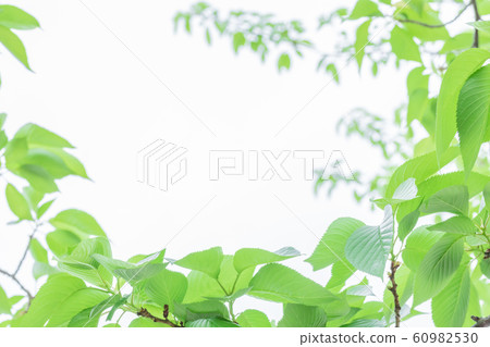  Fresh green eco image 60982530