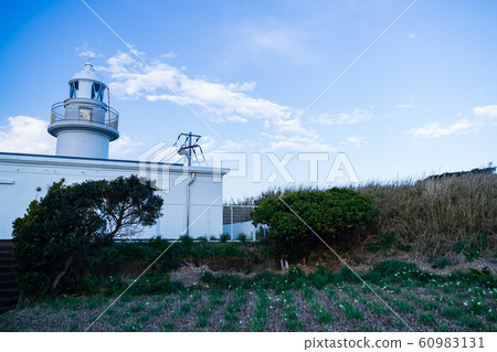 Jogashima（冬季） 60983131