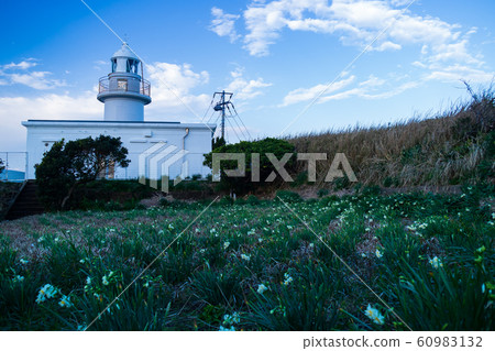 Jogashima(冬季) Jogashima(冬季) 60983132