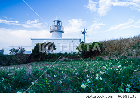 Jogashima (winter) Jogashima (winter) 60983133
