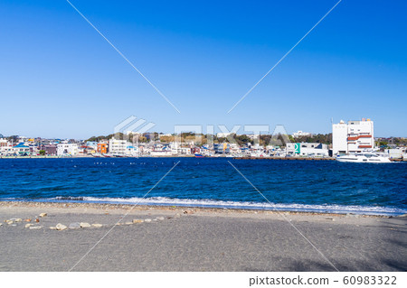 Jogashima (winter) 60983322