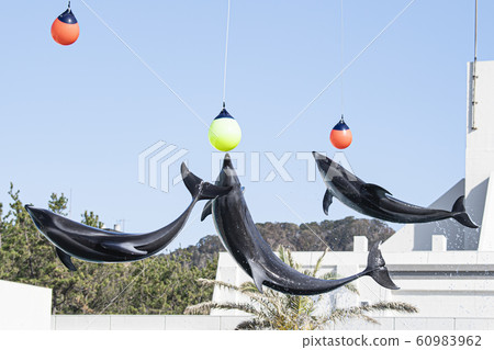 Kamogawa Sea World @ Dolphin Kamogawa Sea World @ Dolphin 60983962