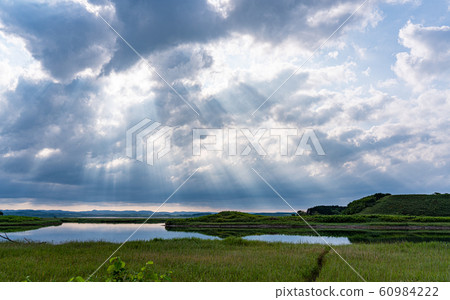 北海道Sarufutsu村的平原和雲層 60984222