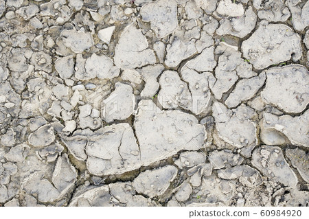 Dry ground as a texture or background. Dry ground as a texture or background. 60984920