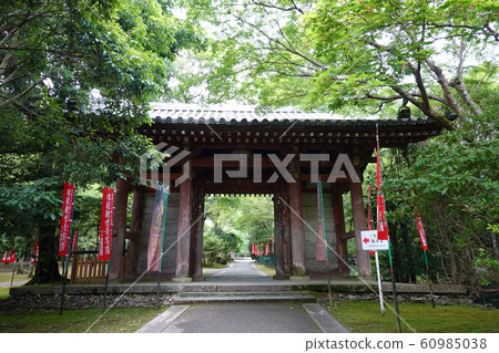 京都神ida堂純土堂大悟寺四國札幌日月門的三十三個地方 60985038