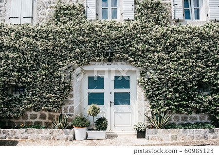 The front door to the house. The front door to the house. 60985123