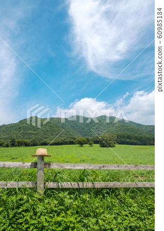 Hiruzen Kogen Summer Blue Sky Hiruzen Kogen Summer Blue Sky 60985184