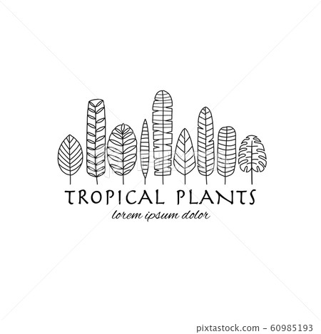 Tropical leaves background for your design 60985193