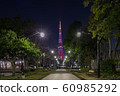 Tokyo Tower    60985292