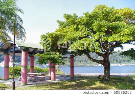 山川港袖珍公園 60986292