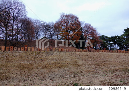 December in Omuro Park 60986349