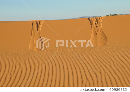 摩洛哥,梅爾祖卡沙漠上空的日出和風的漣漪 摩洛哥,梅爾祖卡沙漠上空的日出和風的漣漪 60986883