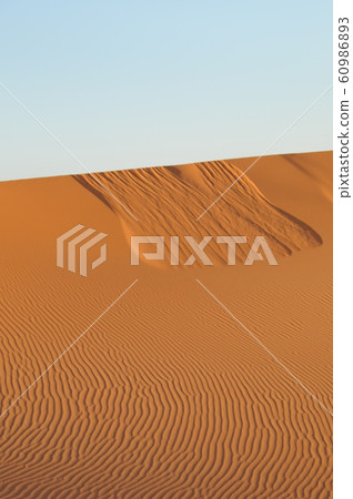 Morocco, sunrise over Merzouga Desert and wind ripples Morocco, sunrise over Merzouga Desert and wind ripples 60986893