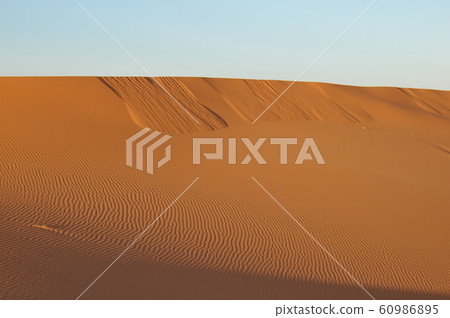 Morocco, sunrise over Merzouga Desert and wind ripples Morocco, sunrise over Merzouga Desert and wind ripples 60986895