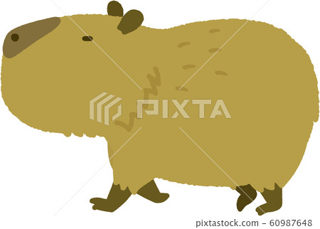 Capybara 60987648