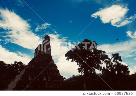 Tikal Pyramid Tikal Pyramid 60987686