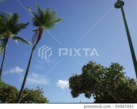 Park_Waikiki Park_Waikiki 60987891