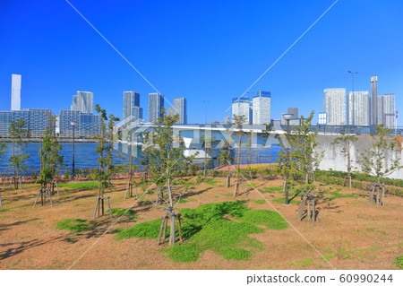 [Tokyo] Harumi Ohashi Bridge and Tower Mansion in Clear Sky 60990244