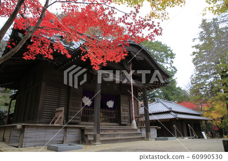 rin林寺(Sa玉縣)的秋葉 rin林寺(Sa玉縣)的秋葉 60990530