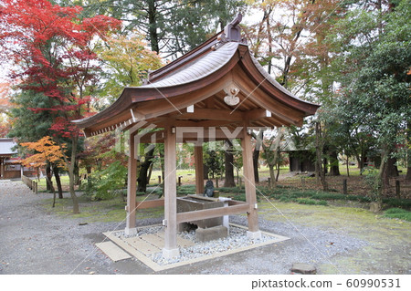 rin林寺(Sa玉縣)的秋葉 rin林寺(Sa玉縣)的秋葉 60990531