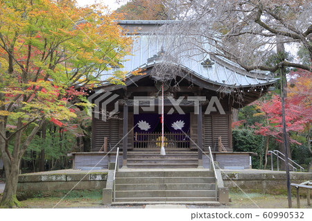 rin林寺(Sa玉縣)的秋葉 rin林寺(Sa玉縣)的秋葉 60990532