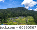 Aerial view of rice terraced drone at Maehara, Oemachi, Fukuchiyama City, Kyoto Prefecture 60990567