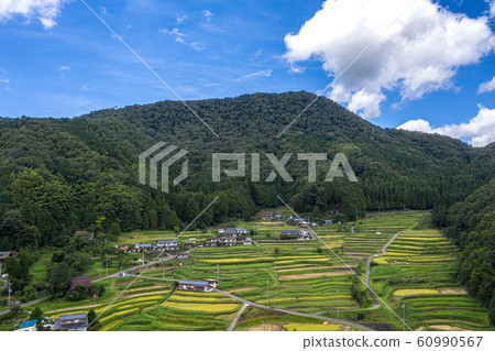 京都府福知山市大江町前原市稻梯無人機的鳥瞰圖 京都府福知山市大江町前原市稻梯無人機的鳥瞰圖 60990567
