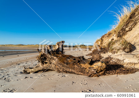 The landscape of the Sheskinmore Nature Reserve between Ardara and Portnoo in Donegal - Ireland The landscape of the Sheskinmore Nature Reserve between Ardara and Portnoo in Donegal - Ireland 60991061