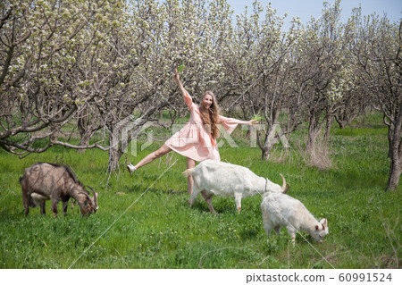 Beautiful blonde woman laughs at goats in the garden Beautiful blonde woman laughs at goats in the garden 60991524